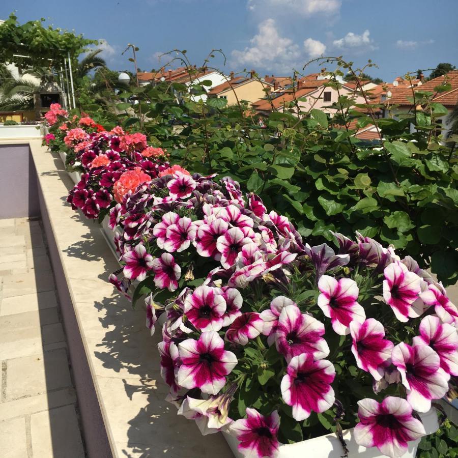 Villa Millefiori - Apartments Mali Lošinj Exteriér fotografie